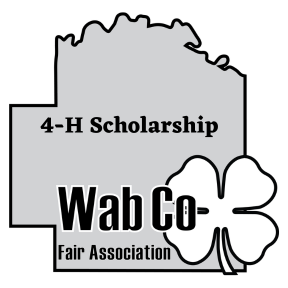 4-H Scholarship