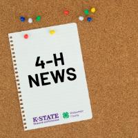 4-H News Button